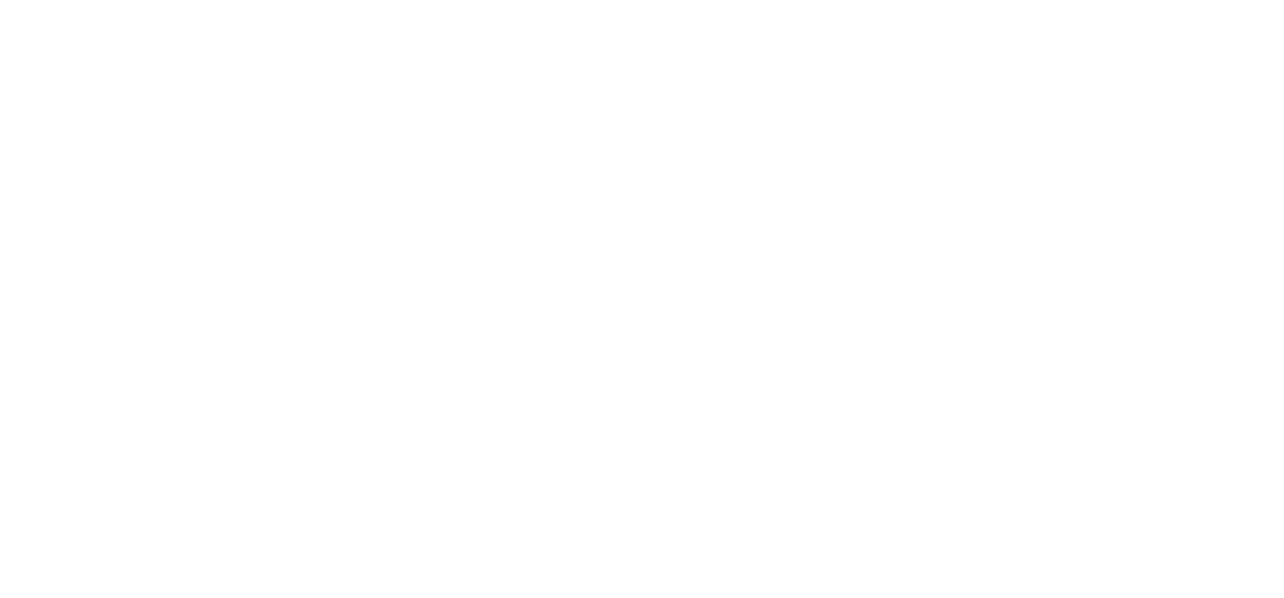 Logo JAO